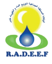 Logo RADEEF